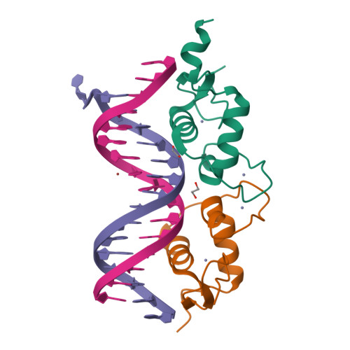 Rcsb Pdb 3g99 Gr Dna Binding Domainpal Complex 9 5233