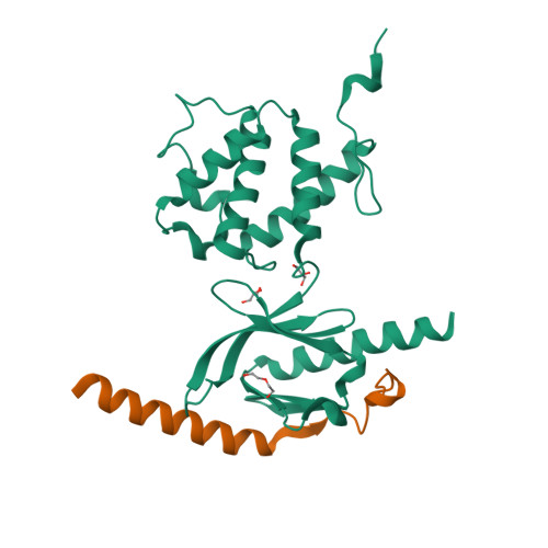 Integrin Cytoplasmic Tail Interactions