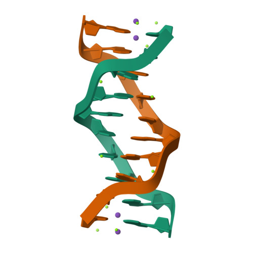 RCSB PDB - 3GGK: Locating Monovalent Cations In One Turn Of G/C Rich B-DNA