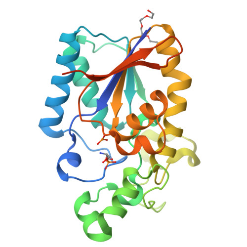 RCSB PDB - 3GP3: Crystal structure of phosphoglyceromutase from ...