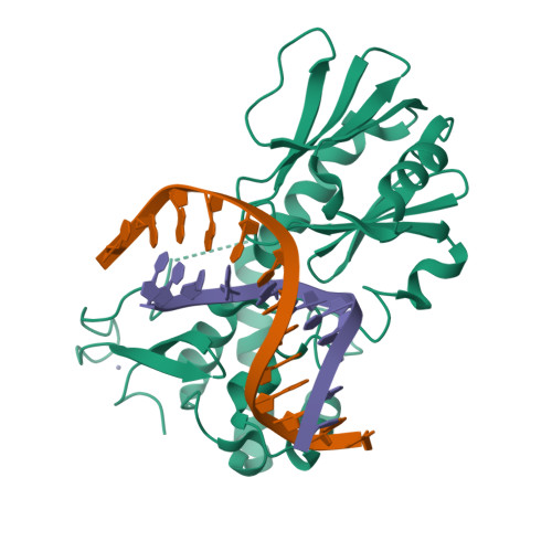 RCSB PDB - 3GPX: Sequence-matched MutM Interrogation Complex 4 (IC4)