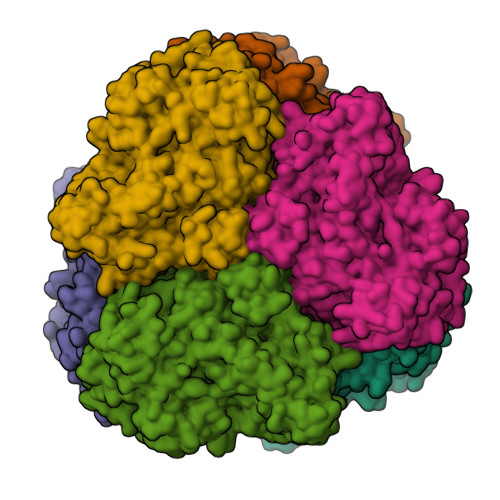 RCSB PDB - 3GWJ: Crystal structure of Antheraea pernyi arylphorin