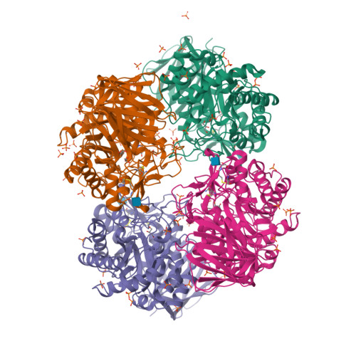 RCSB PDB - 3GXF: Crystal structure of acid-beta-glucosidase with ...