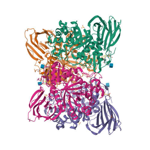 RCSB PDB - 3GXM: Crystal structure of acid-beta-glucosidase at pH 4.5 ...