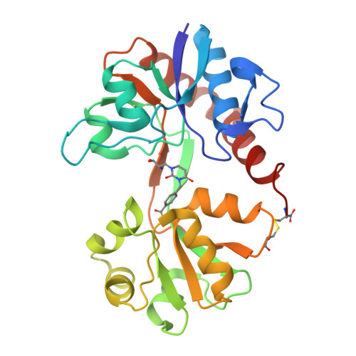 RCSB PDB - 3H06: Crystal structure of the binding domain of the AMPA ...