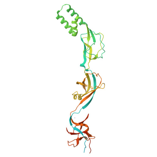 CUSBMA | Linktree