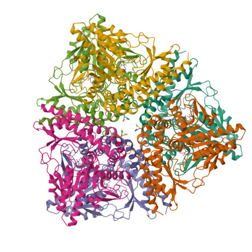 RCSB PDB - 3HBX: Crystal structure of GAD1 from Arabidopsis thaliana