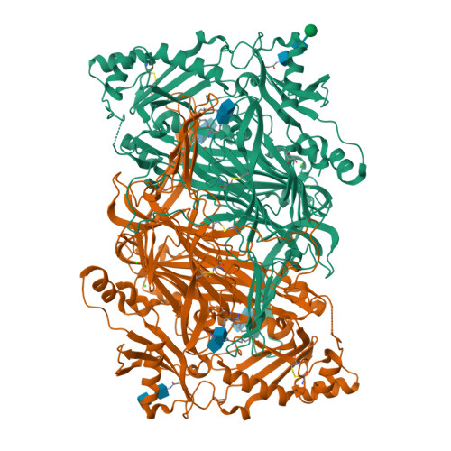 RCSB PDB - 3HII: Crystal structure of human diamine oxidase in complex ...