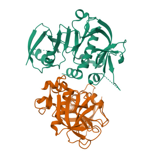 RCSB PDB 3HK0 Crystal Structure of the RA and PH Domains of Grb10