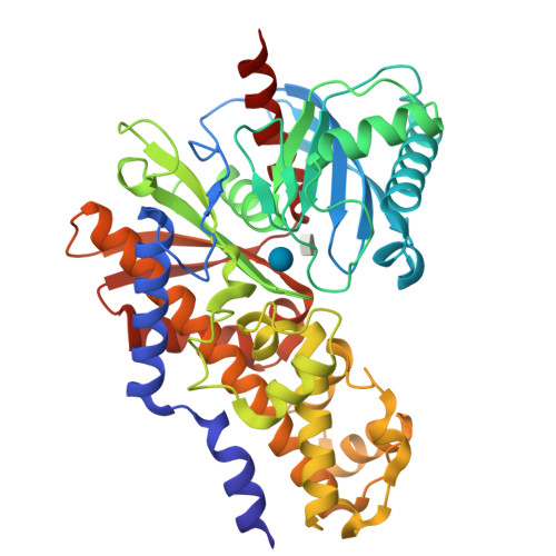 PDB 3HM8
