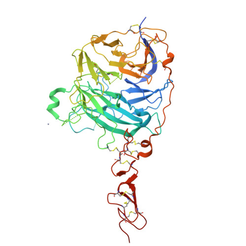 sonic hedgehog protein structure