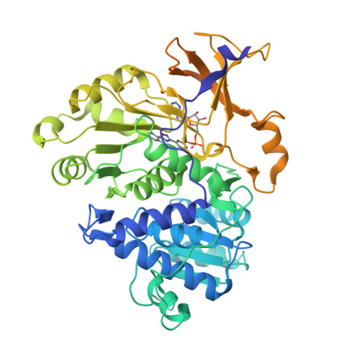 RCSB PDB - 3IES: Firefly luciferase inhibitor complex