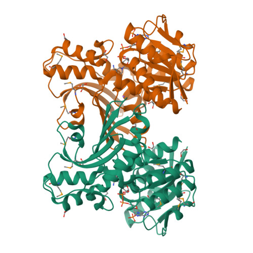 RCSB PDB - 3ING: Crystal structure of Homoserine dehydrogenase (NP ...