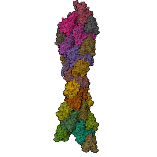 RCSB PDB - 3J0S: Remodeling Of Actin Filaments By ADF Cofilin Proteins