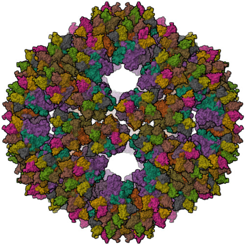 Rcsb Pdb 3j8v Cryo Em Reconstruction Of Quasi Hpv16 Complex With H1614j Fab 2713