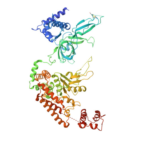 RCSB PDB - 3JC7: Structure of the eukaryotic replicative CMG helicase ...