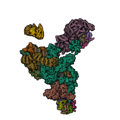 RCSB PDB - 4WZJ: Spliceosomal U4 snRNP core domain
