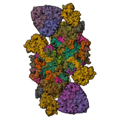 RCSB PDB - 3JCU: Cryo-EM structure of spinach PSII-LHCII supercomplex ...