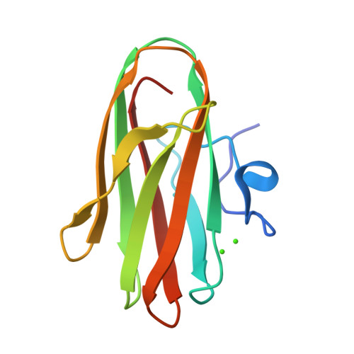 Rcsb Pdb 3jqw Crystal Structure Of Clostridium Histolyticum Colh Collagenase Collagen Binding