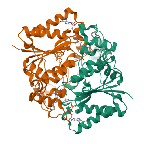 Ray Manchester - Discussion on PDB