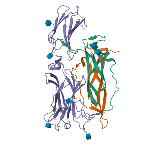 PDB 3JVF