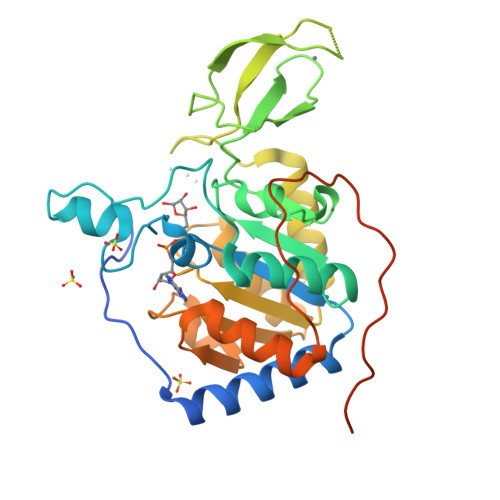 RCSB PDB - 3K35: Crystal Structure of Human SIRT6