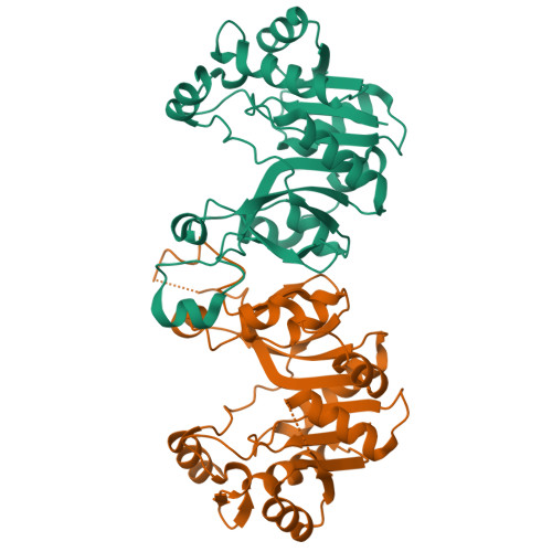 RCSB PDB - 3K8E: Crystal Structure Of E. Coli Lipopolysaccharide ...