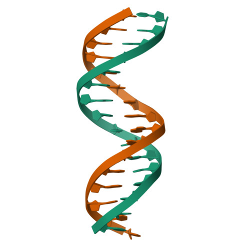 RCSB PDB - 3KBD: MUTATED NF KAPPA-B SITE, BI MODEL