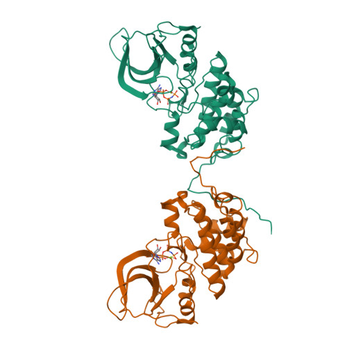 Rcsb Pdb Kex Crystal Structure Of The Catalytically Inactive Kinase Domain Of The Human