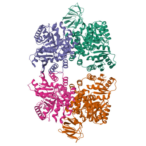 Pyruvate kinase structure