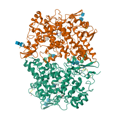 RCSB PDB - 3KK6: Crystal Structure of Cyclooxygenase-1 in complex