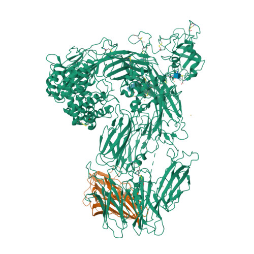 RCSB PDB - 3KLS: Structure of complement C5 in complex with SSL7