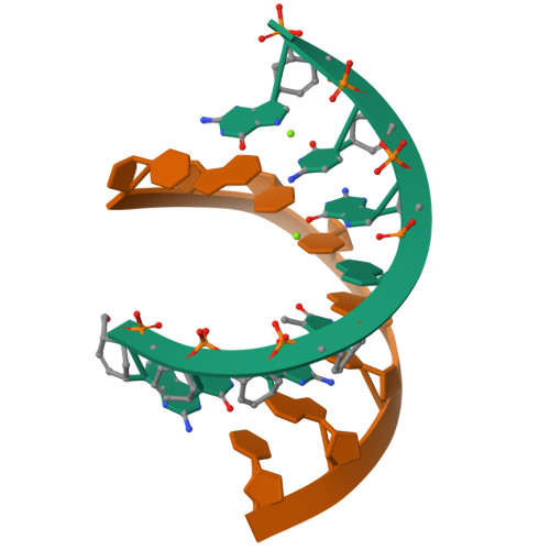 RCSB PDB - 3KNC: Crystal structure of the CeNA-RNA hybrid octamer ce ...