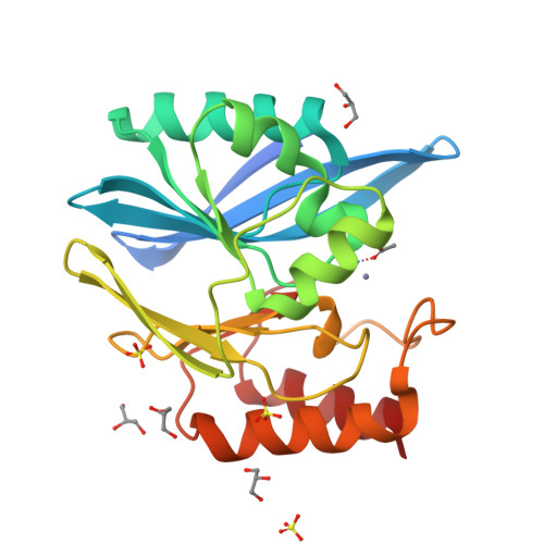 RCSB PDB - 3KNS: Bacillus cereus metallo-beta-lactamase Cys221Asp ...