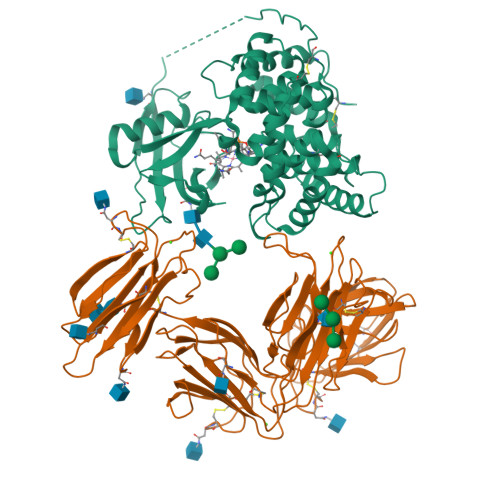 RCSB PDB - 3KQ4: Structure of Intrinsic Factor-Cobalamin bound to its  receptor Cubilin