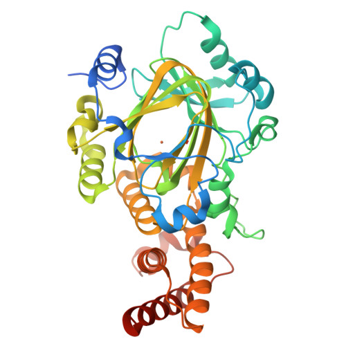 RCSB PDB - 3KV9: Structure of KIAA1718 Jumonji domain