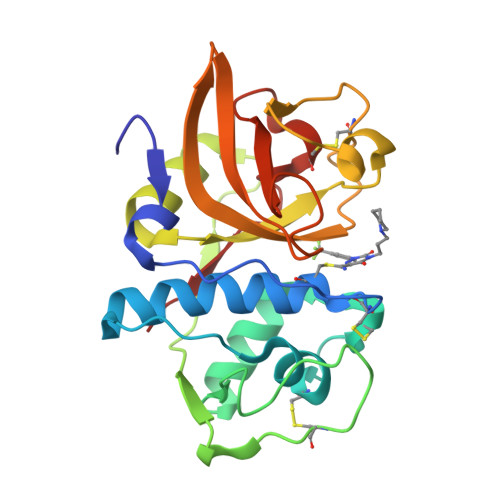 RCSB PDB - 3KWB: Structure of CatK covalently bound to a dioxo-triazine ...