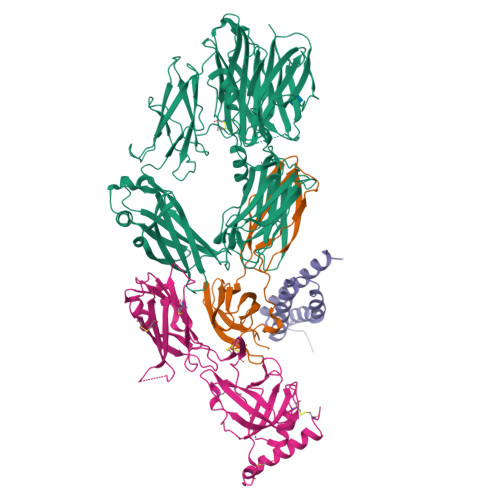 rcsb-pdb-3l3o-staphylococcal-complement-inhibitor-scin-in-complex