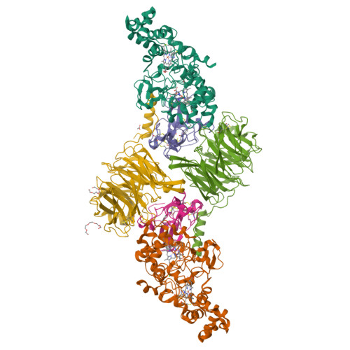 RCSB PDB - 3L4O: Crystal Structure Of The MauG/pre-Methylamine ...