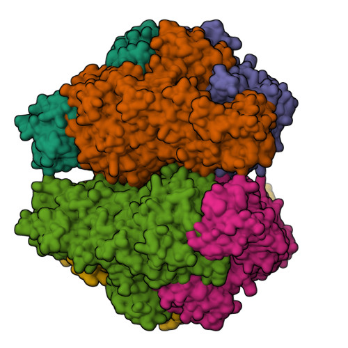 Journal of Biochemical and Molecular Toxicology: Early View