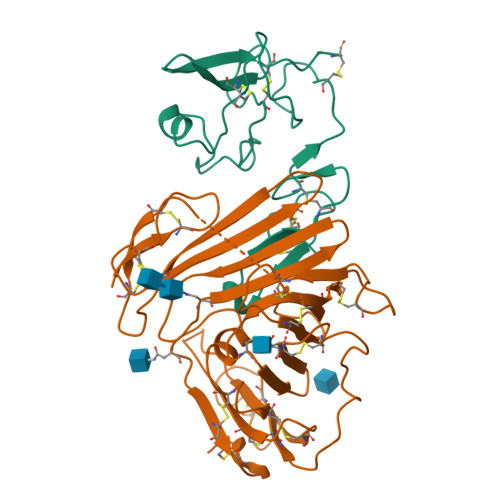 Urokinase-type plasminogen activator structure