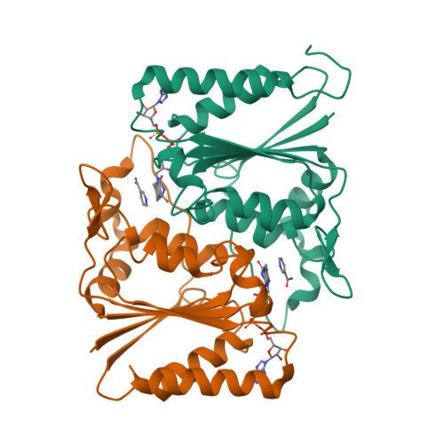 RCSB PDB - 3LCM: Crystal structure of Smu.1420 from Streptococcus