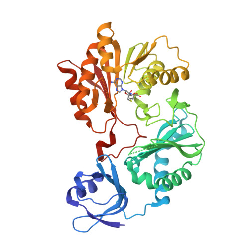 RCSB PDB - 3LDF: Crystal structure of SMU.776, a putative ...