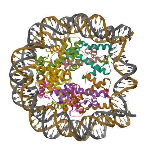 Rcsb Pdb Lel Structural Insight Into The Sequence Dependence Of Nucleosome Positioning