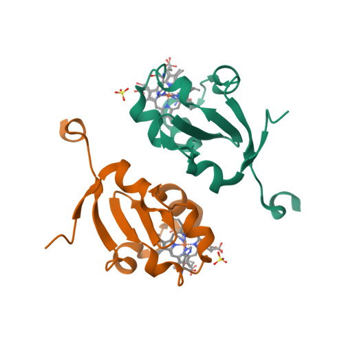 RCSB PDB - 3LF5: Structure of Human NADH cytochrome b5 oxidoreductase ...