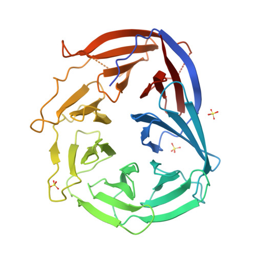 RCSB PDB - 3LRV: The Prp19 WD40 Domain Contains a Conserved Protein ...