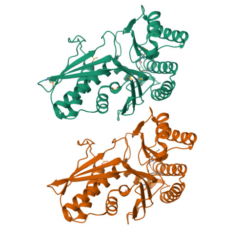 Rcsb Pdb 3lto Crystal Structure Of A Mevalonate Diphosphate Decarboxylase From Legionella