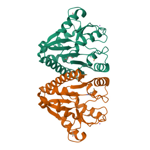 Rcsb pdb 3lwd crystal structure of putative 6