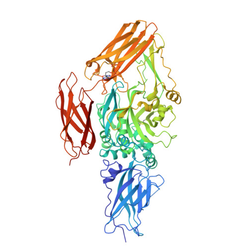 RCSB PDB - 3LY6: Crystal structure of human transglutaminase 2