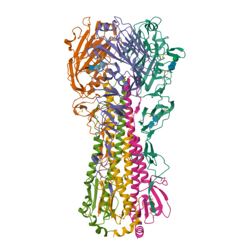 h1n1 influenza virus